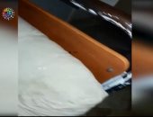 قارئ يشارك بفيديو لصراصير على أسرة مستشفى دسوق العام
