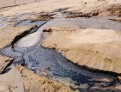 "البيئة": إجراءات عاجلة لإزالة تلوث زيتى بمدينة الطور جنوب سيناء