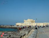 صورة اليوم.. عمار يا إسكندرية يا جميلة يا ماريا