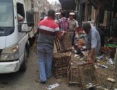 استجابة لليوم السابع.. مجلس مدينة شبين القناطر يزيل الاشغالات  و المخلفات بشوارع المدينة