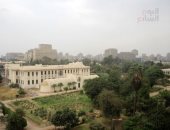 صور ..طقس خريفى معتدل وأمطار خفيفة على مناطق متفرقة بالقاهرة والجيزة