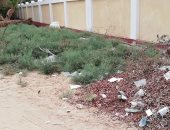 القمامة والنباتات الشوكية تحاصر مبنى التطوير التكنولوجى بالوادى الجديد