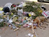 شكوى من انتشار القمامة بمساكن ضباط زهراء مدينة نصر