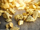 60 طن حصيلة شراء الذهب الكسر من المواطنين سنوياً