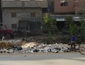 قارئ يشكو من انتشار القمامة بقرية برج نور فى الدقهلية