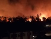 محافظ الوادي الجديد يلغي احتفالات العيد القومي بعد حريق زراعات الراشدة