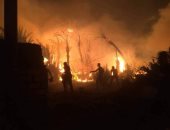 محافظ الوادى الجديد يكشف: حريق 70 فدان من أشجار النخيل وخروج 30 حالة مصابة