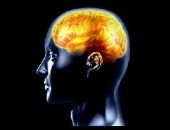 اعرف جسمك.. مخك يكشف من أنت