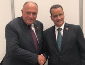 سامح شكرى يبحث مع وزير خارجية موريتانيا القضايا العربية والإفريقية