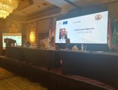 مجلس الدولة الفرنسى: الامتناع عن المشاركة فى الانتخابات جريمة