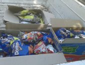 "صحة الأقصر" تحرر 58 محضرًا وتغلق 12 منشأة غذائية