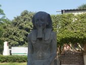 شاهد.. المتحف المصرى الكبير يستقبل تمثالى الملك رمسيس الثانى والإله حورس