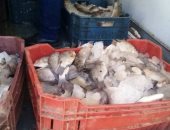 صور.. إعدام نصف طن اسماك غير صالحة للاستهلاك الادمى