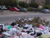 قارئ يشكو تراكم القمامة وانتشار الكلاب الضالة بزهراء مدينة نصر