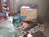 صور.. مأساة أسرة من 10 أفراد تعيش داخل خيمة فى القليوبية