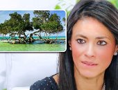 "السياحة مش بس الغردقة وشرم".. اكتشف 3 أماكن ساحرة فى بلدك ولا تعرفها.. وادى الوشواشى بحيرة فى أحضان الجبال للغطس والتسلق.. خليج قلعان موطن الغزلان وشجر المانجروف.. و"النيزك" حمام سباحة طبيعى تحيطه الأساطير