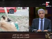 متحدث "الزراعة": قتل الكلاب ينفذ على أساس بلاغات المواطنين