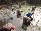 الفلبين تبتكر طريقة جديدة للتخلص من النفايات البلاستيكية مقابل بالأرز