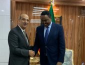 صور.. السفير المصرى الجديد لدى إثيوبيا يقدم صورة من أوراق اعتماده