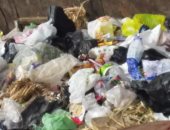 شكوى من انتشار القمامة وسوء الخدمات فى شارع المشتل بمنطقة محور ٢٦ يوليو