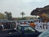 حملة مكبرة بالخليفة والسيدة زينب لرفع الإشغالات بمشاركة نائب المحافظ