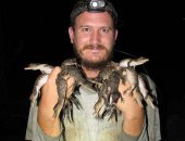 لأول مرة منذ 85 عامًا.. علماء يكتشفون نوعا جديدا من التماسيح