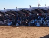 لأول مرة فى جمصة مهرجان للخيول العربية.. ومحافظ الدقهلية يشهد حفل الختام
