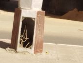 شكوى من أعمدة إنارة بأسلاك مكشوفة بشارع امتداد الجمهورية فى سوهاج