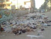 قارئ يشكو من انتشار القمامة بشارع المجزر الآلى بمنطقة المريوطية