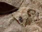قارئ يعثر على "ذباب" داخل رغيف خبز بالشرقية