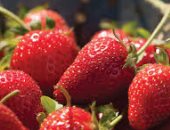 صحتك فى وصفة.. الفراولة بالمايونيز  لتنعيم الشعر