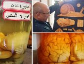 صور.. "اليوم السابع" داخل متحف الأحياء بمدرسة السلام.. يحتوى على أحجار ونماذج وعينات حيوانية نادرة محفوظة بمادة الفورمالين.. ويضم أكثر من ألفى حجر وصخور نادرة.. مديرة المدرسة: المتحف يرجع تاريخه لـ100 عام