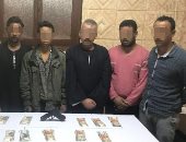 أمن الجيزة يسقط عصابة وراء السطو على مزرعة ماشية بمنشأة القناطر