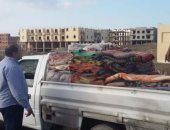 صور.. مجلس مدينة مرسى علم يرسل بطاطين لأهالى وادى الجمال لتضررهم من الأمطار