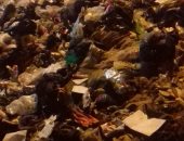 قارئ يشكو انتشار القمامة بشارع أحمد زياده كفر الشرفا بمنطقة المرج