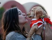 عيد الحب مع الكلاب أجمل.. ملك ترفع شعار "يا بخت اللى حبيبه كلب"