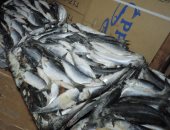 صور.. "الزراعة" حملات مكثفة على الأسواق لمنع تداول منتجات غير مطابقة