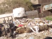 قارئ يشكو انتشار القمامة بمنطقة أولاد نصير بسوهاج