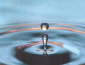 الأوقاف تصدر كتاب "نعمة الماء.. نحو استخدام رشيد" باللغة الفرنسية