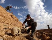 القصة الكاملة لعثور "الأمم المتحدة" على 202 مقبرة جماعية فى العراق
