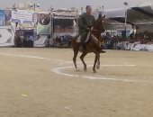 انطلاق فعاليات اليوم الثانى لمهرجان الخيول العربية بالمنوفية بمشاركة 132حصانا