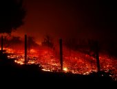 المشاهير يهجرون منازلهم فى كاليفورنيا هربا من حريق الغابات