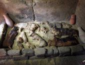 اكتشاف أكبر مقبرة لمومياوات الحيوانات فى منطقة سقارة