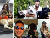 صور.. فنانون ورياضيون اشتركوا فى عشقهم للكلاب