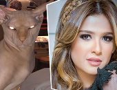 قطة ياسمين عبد العزيز تثير جدلا بين جمهورها على السوشيال ميديا.. اعرف نوعها