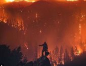 ارتفاع حصيلة ضحايا الحرائق فى كاليفورنيا إلى 59 قتيلا و130 مفقودا