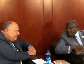 سامح شكرى يؤكد لوزير خارجية النيجر استعداد الشركات المصرية للاستثمار ببلاده