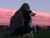 Netflix تطرح مسلسل "Dogs" وتوجه رسائل إنسانية عبر أحداثه