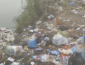 صور.. القمامة تغرق شوارع العوايد بالإسكندرية والأهالى يستغيثون بالمحافظ