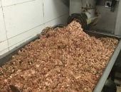 ضبط 8,5 طن لحوم غير صالحة للاستهلاك الآدمى داخل ثلاجة بالغربية